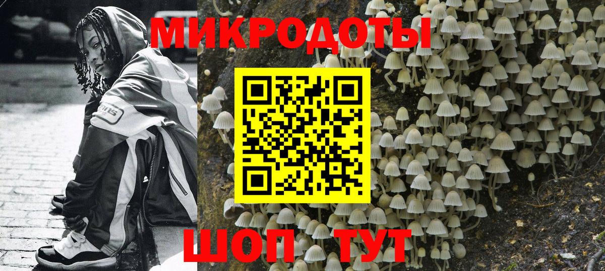 Галлюциногенные грибы Psilocybine cubensis Гусь-Хрустальный