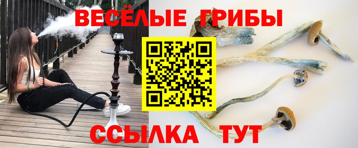 даркнет сайт  Вход с VPN  Гусь-Хрустальный  Псилоцибиновые грибы GOLDEN TEACHER  Галлюциногенные грибы Cubensis 